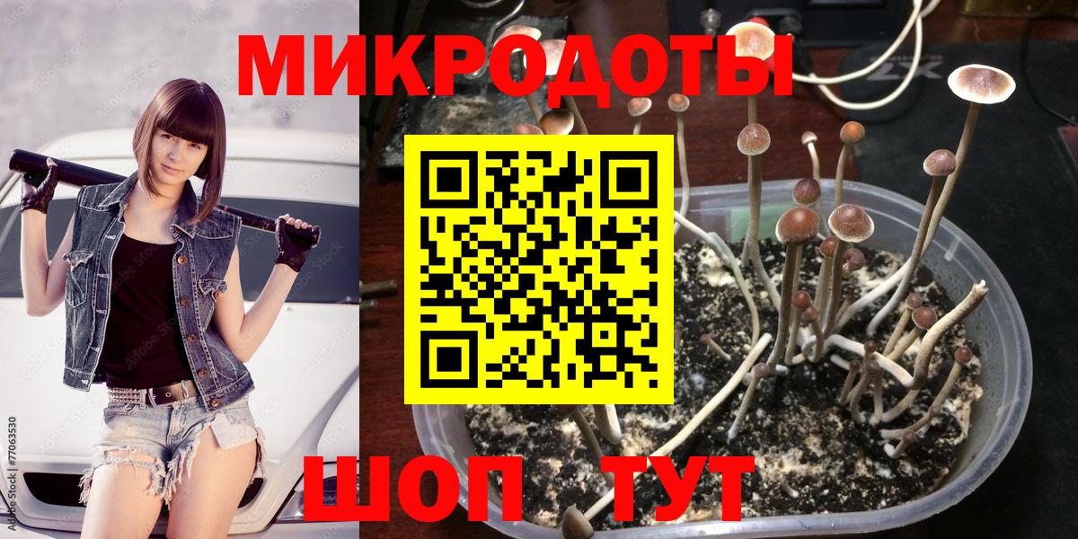 Галлюциногенные грибы Cubensis Дзержинский