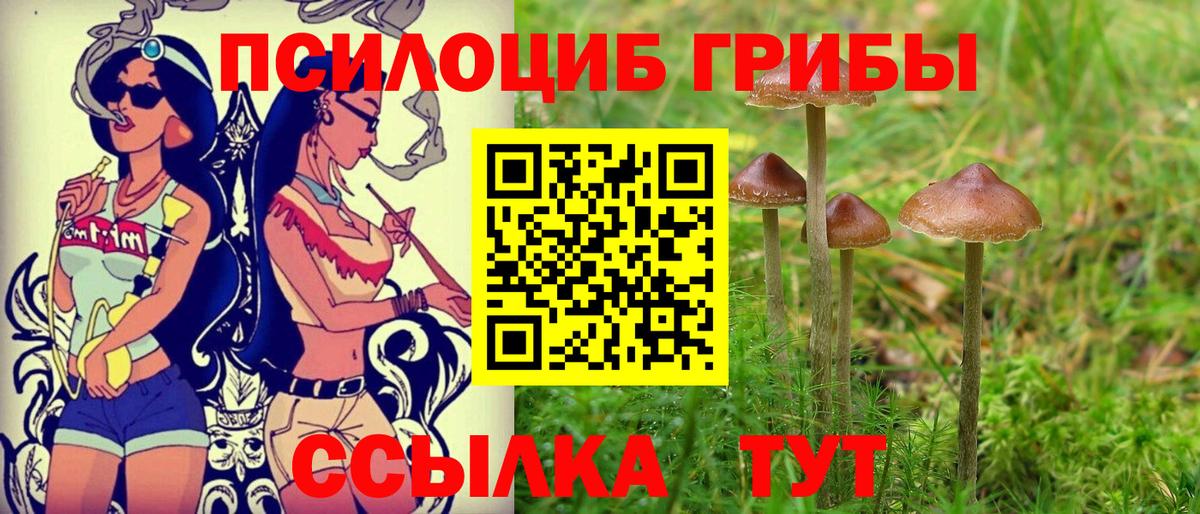 Псилоцибиновые грибы Cubensis  Вход с VPN  магазин продажи   Дзержинский 